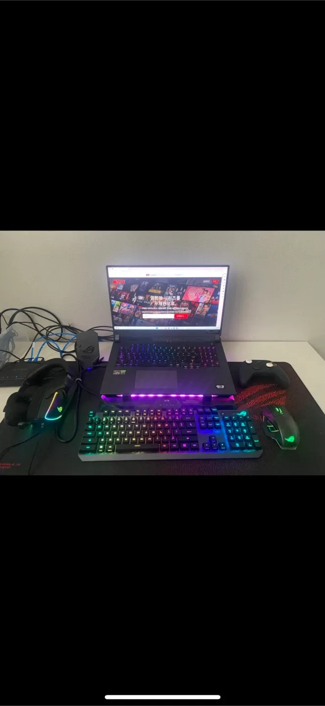 ASUS ROG 게이밍 노트북 풀세트 G713q 판매합니다