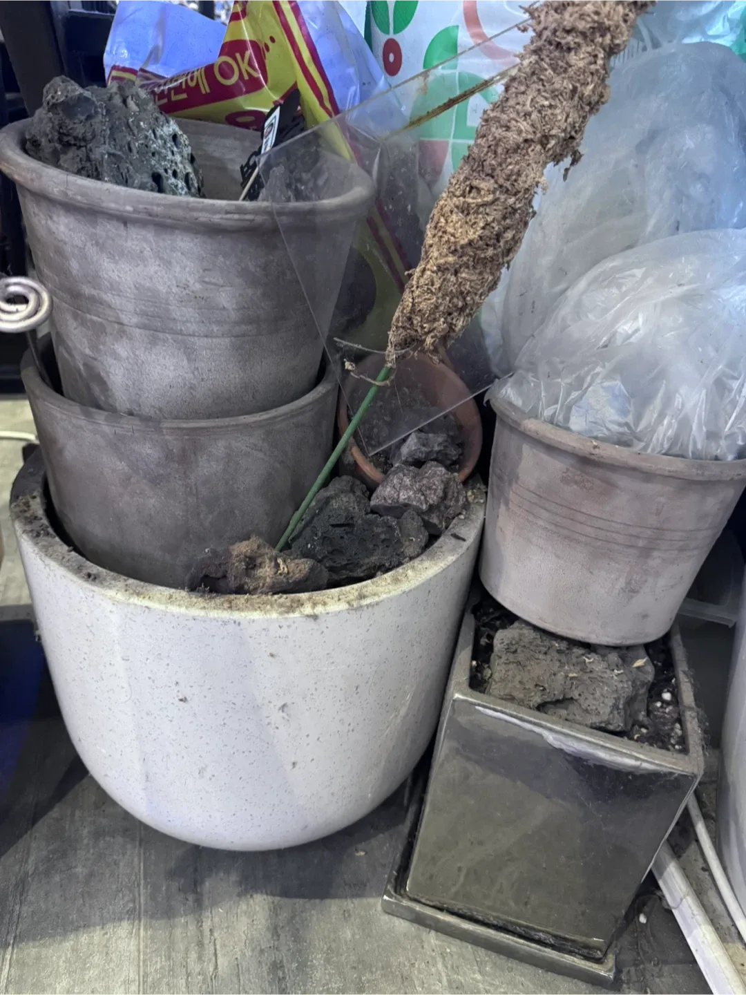 다양한 중고 화분 모음