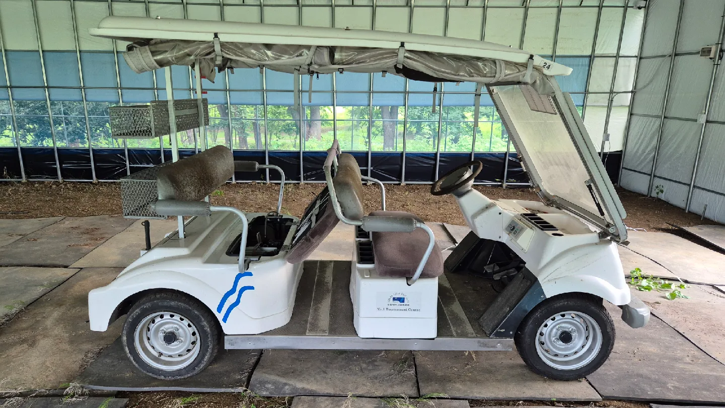 중고 골프 카트 카