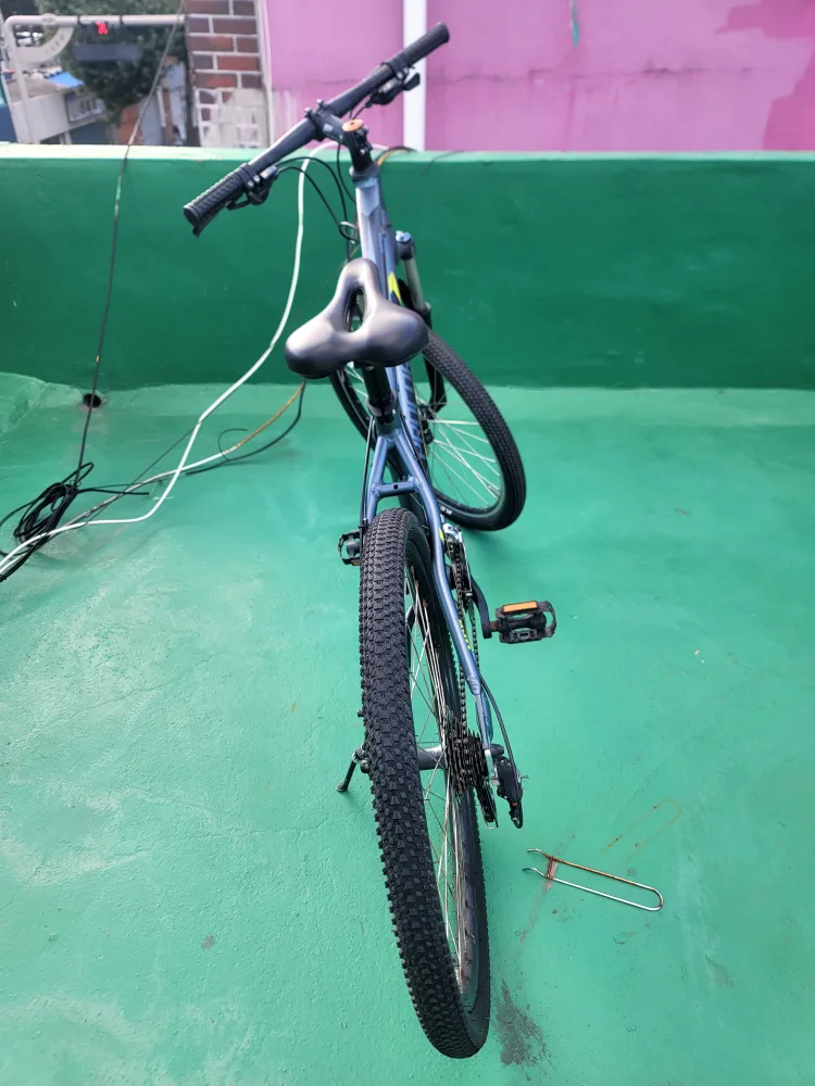 프로플렉스 MCR 24D 자전거