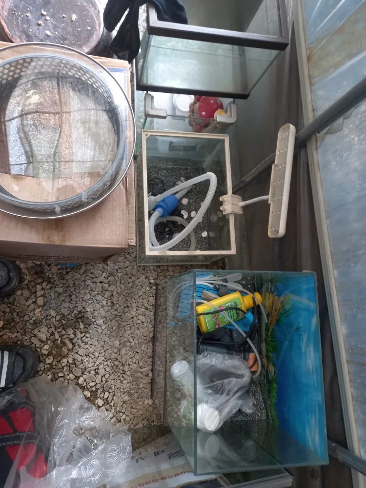 중고 어항 여러 개