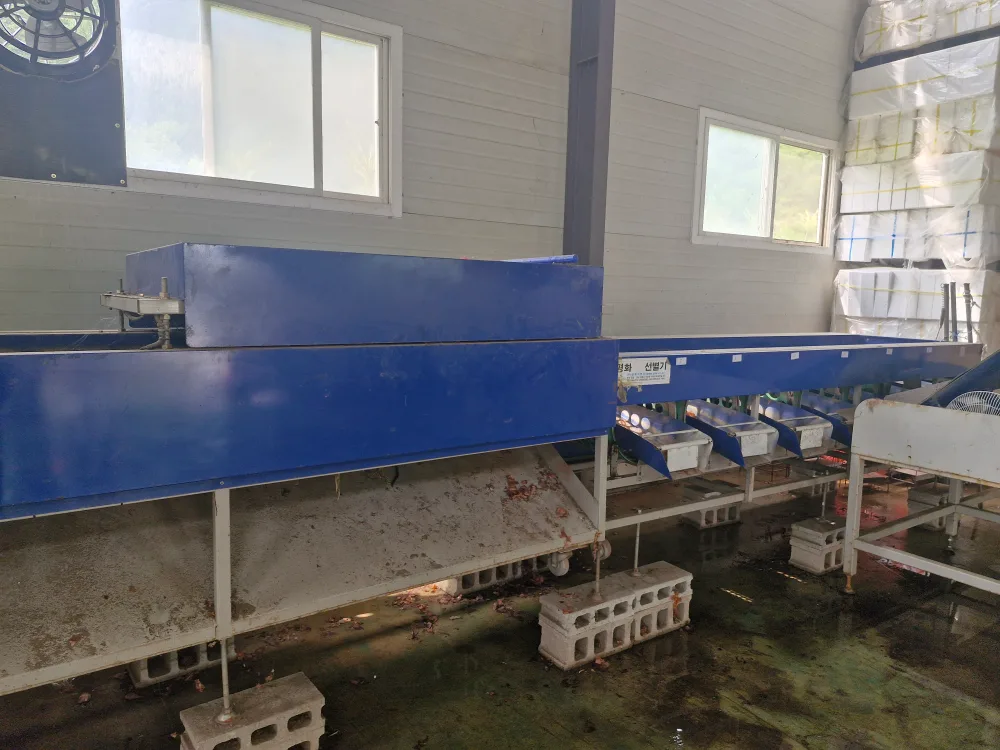 양파 선별기 중고