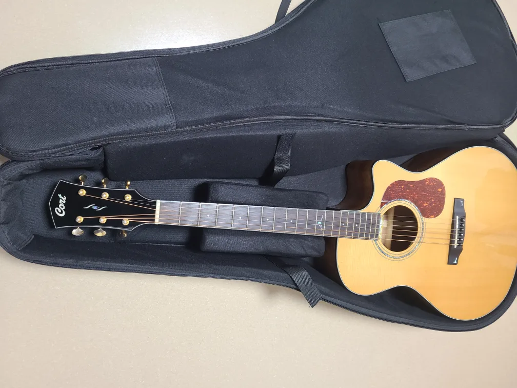 중고기타  콜트골드 a6k