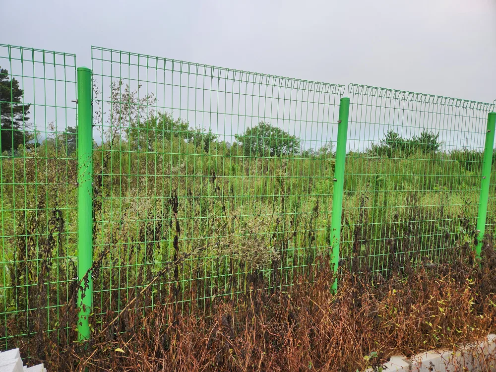 초록색 철제 울타리중고 구입합니다