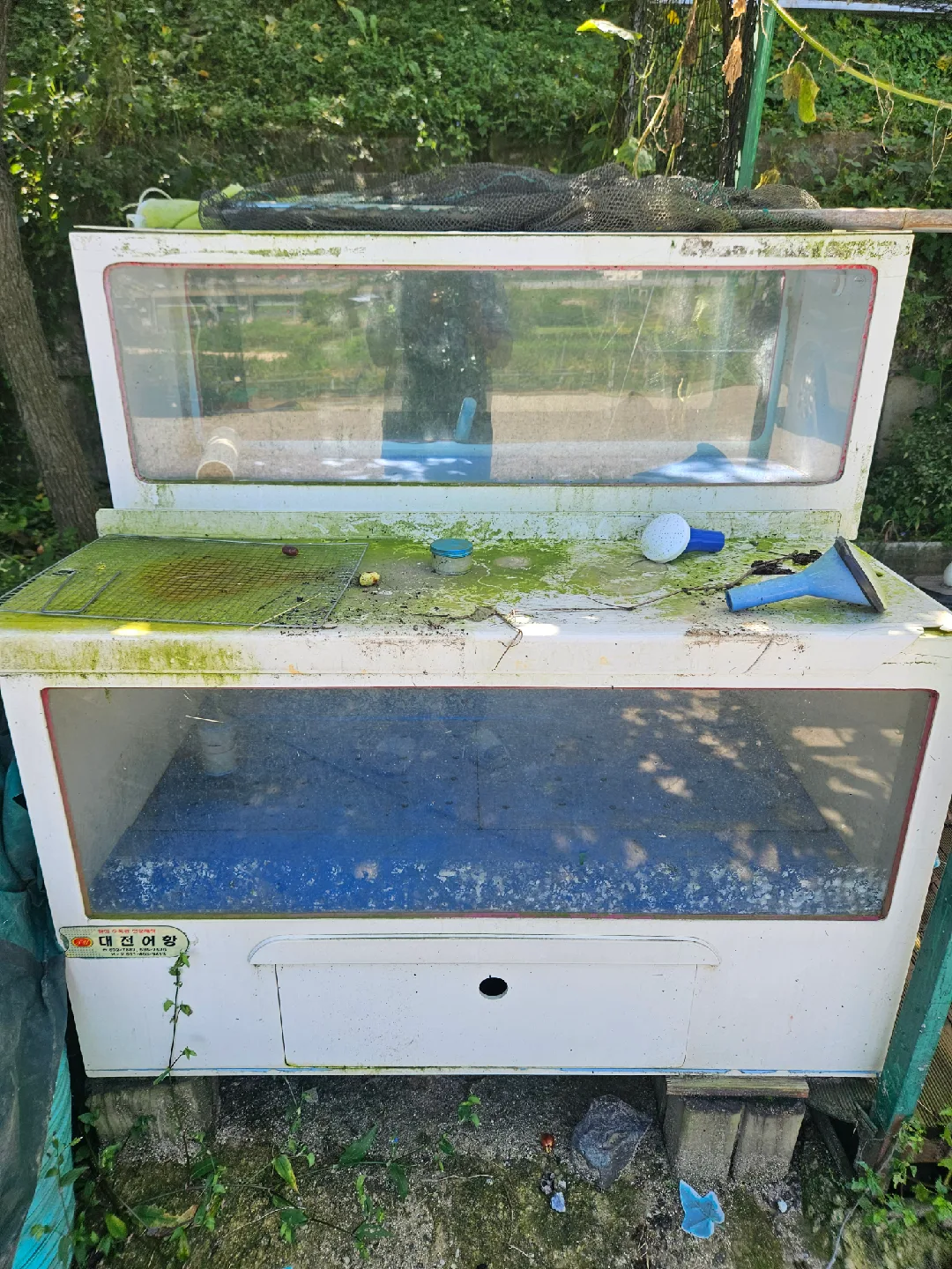 중고 대전 어항 판매