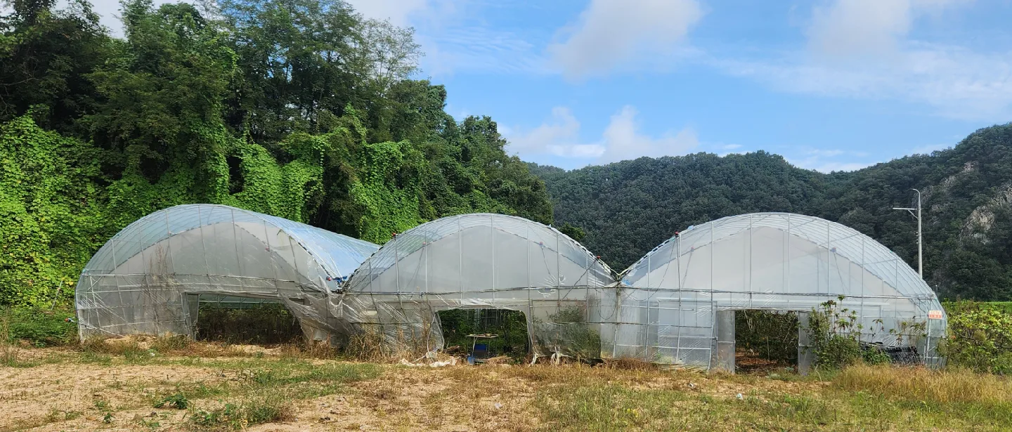 중고 하우스 판매