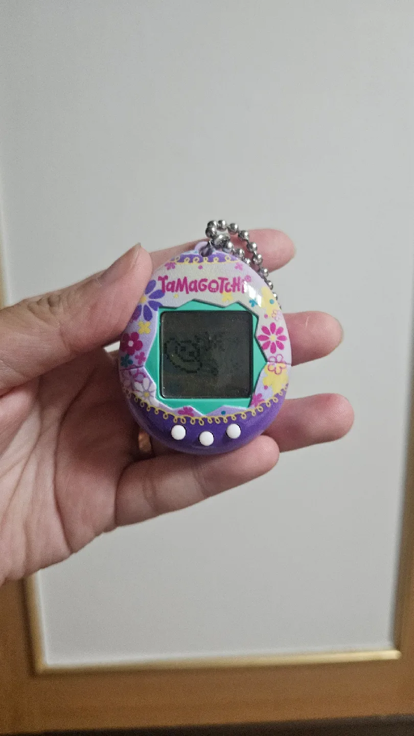 다마고치 중고 2개월