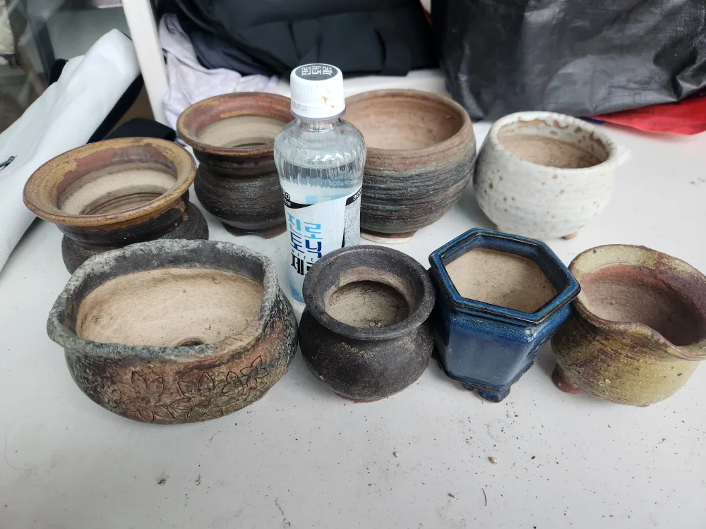 중고다육화분 8개