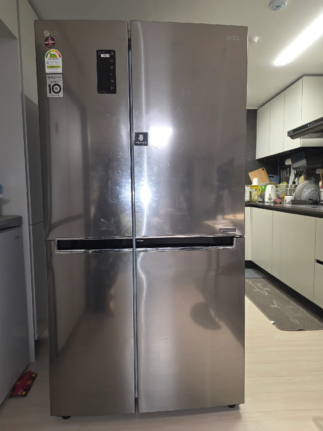 LG DIOS 냉장고