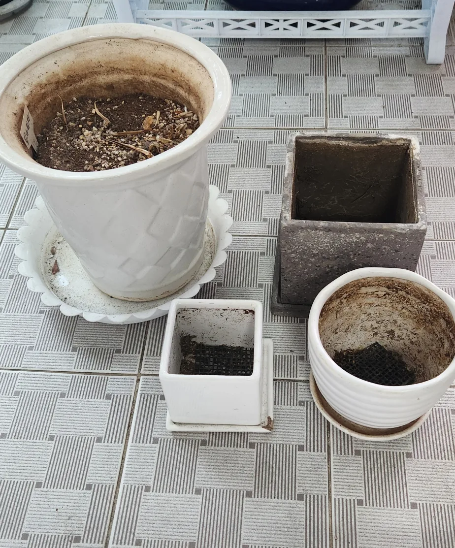 중고 화분 모음