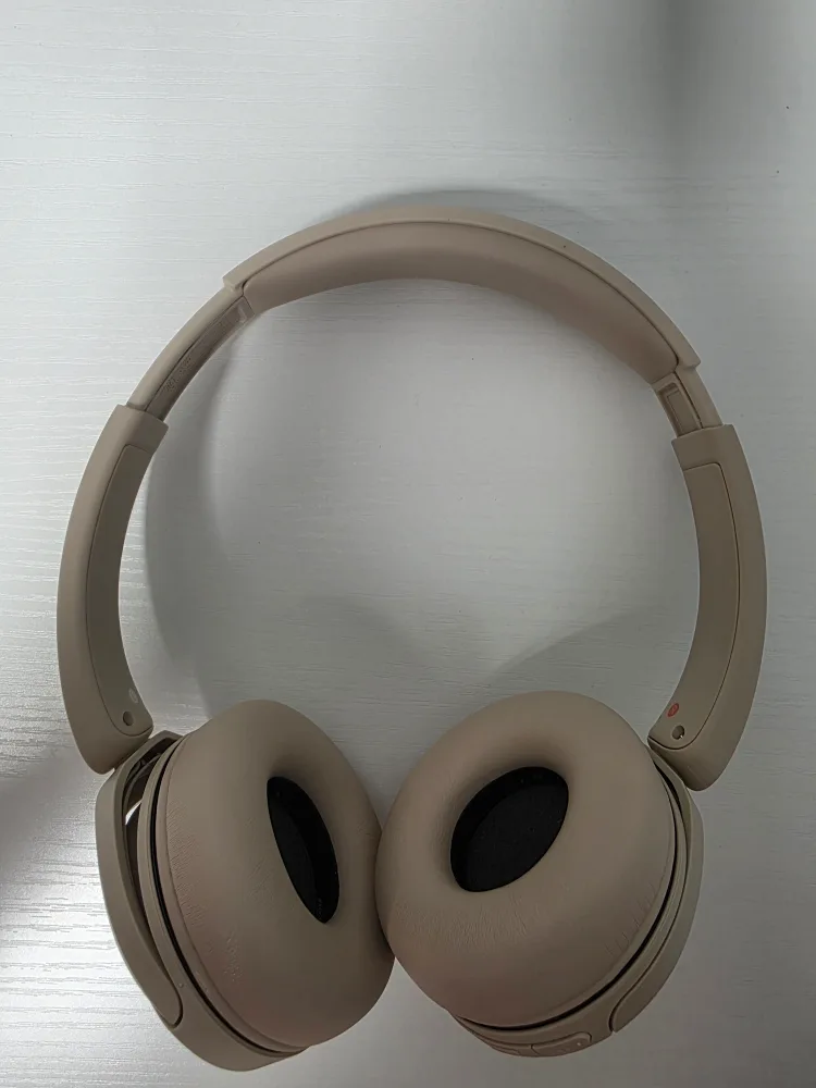 소니 WH-CH520 베이지 헤드폰