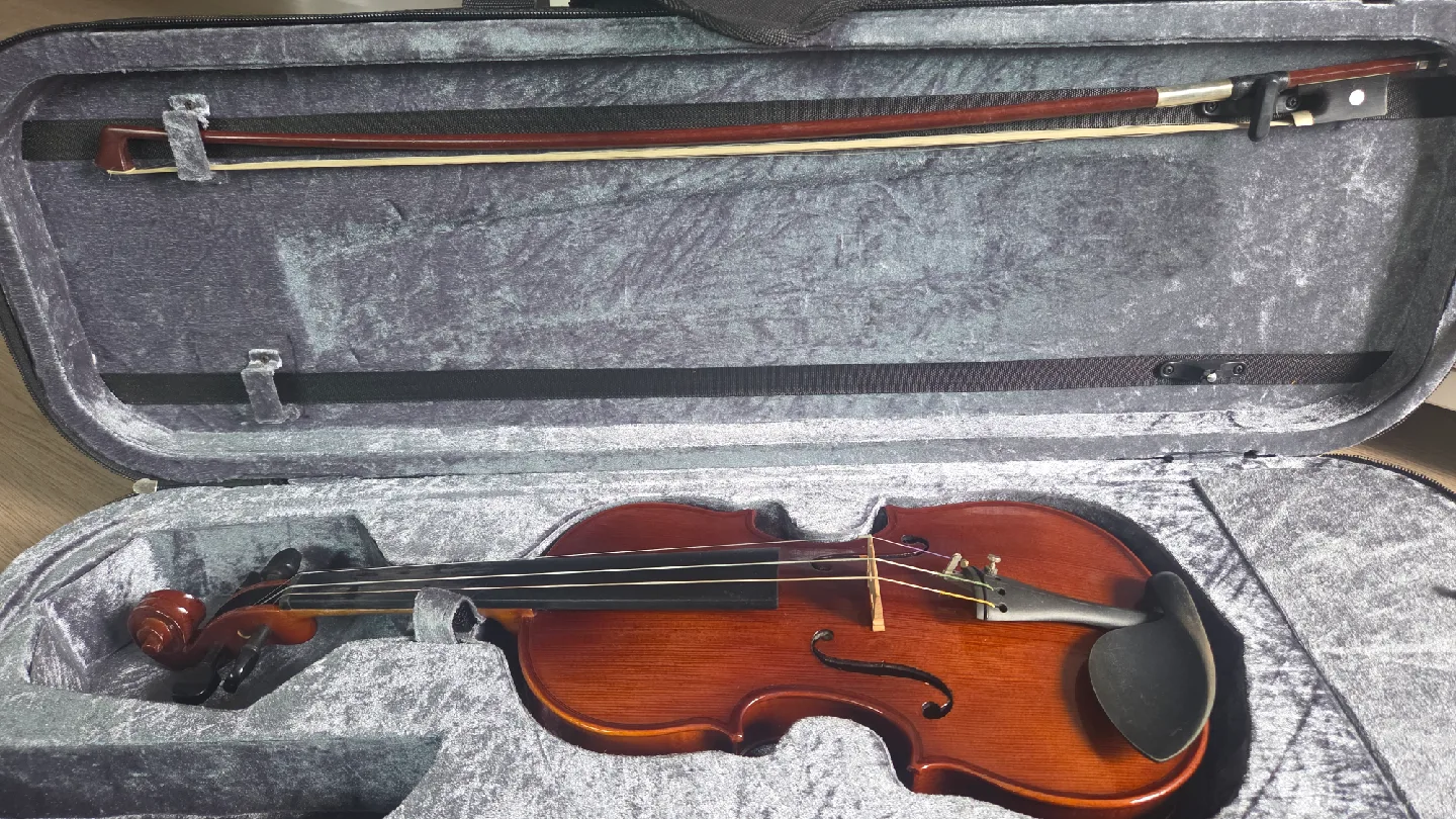 중고 바이올린 활, 케이스 포함