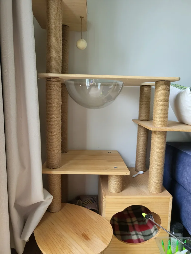 중고 원목 캣타워