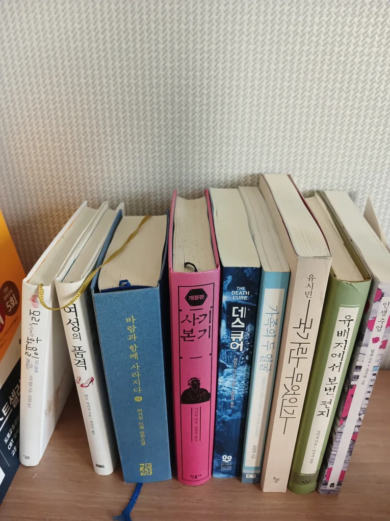 다양한 종류 중고 책