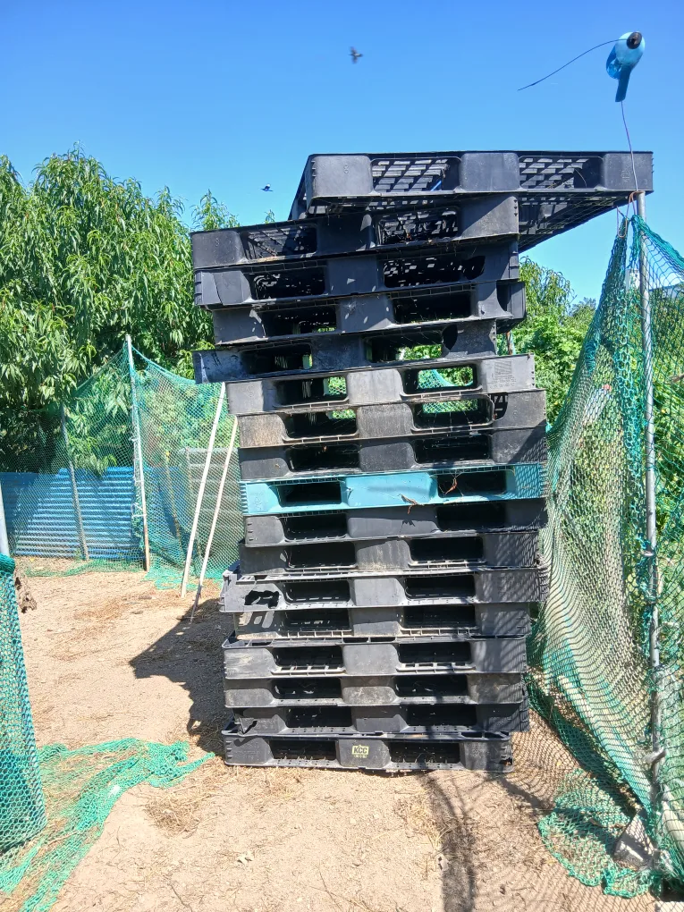 플라스틱 팔레트