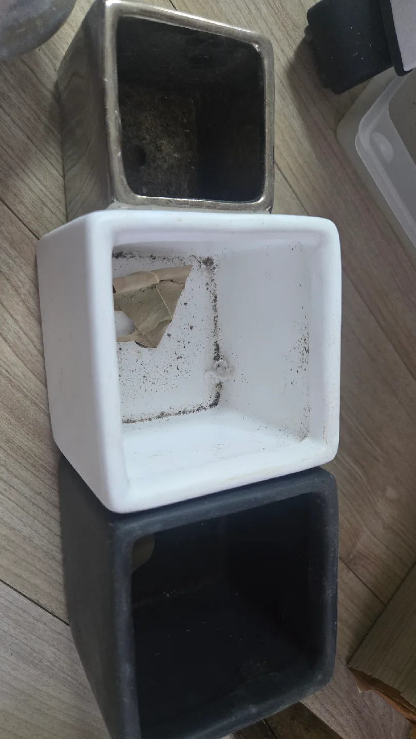 다양한 중고 화분 일괄 판매