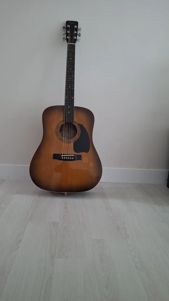 20만원 짜리 희귀 빈티지 기타 팝니다 sj970