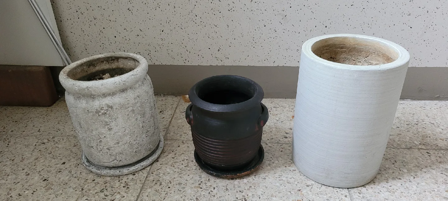 중고 화분 3개