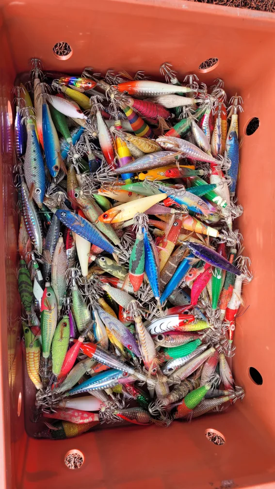 쭈갑용 에기, 두족류 루어 중고 아묻따 개당1000