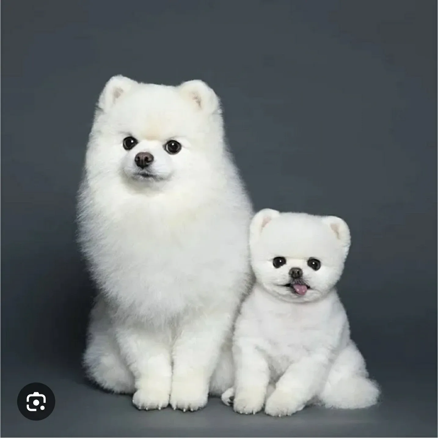 중고 노트20 저렴히 삼니다