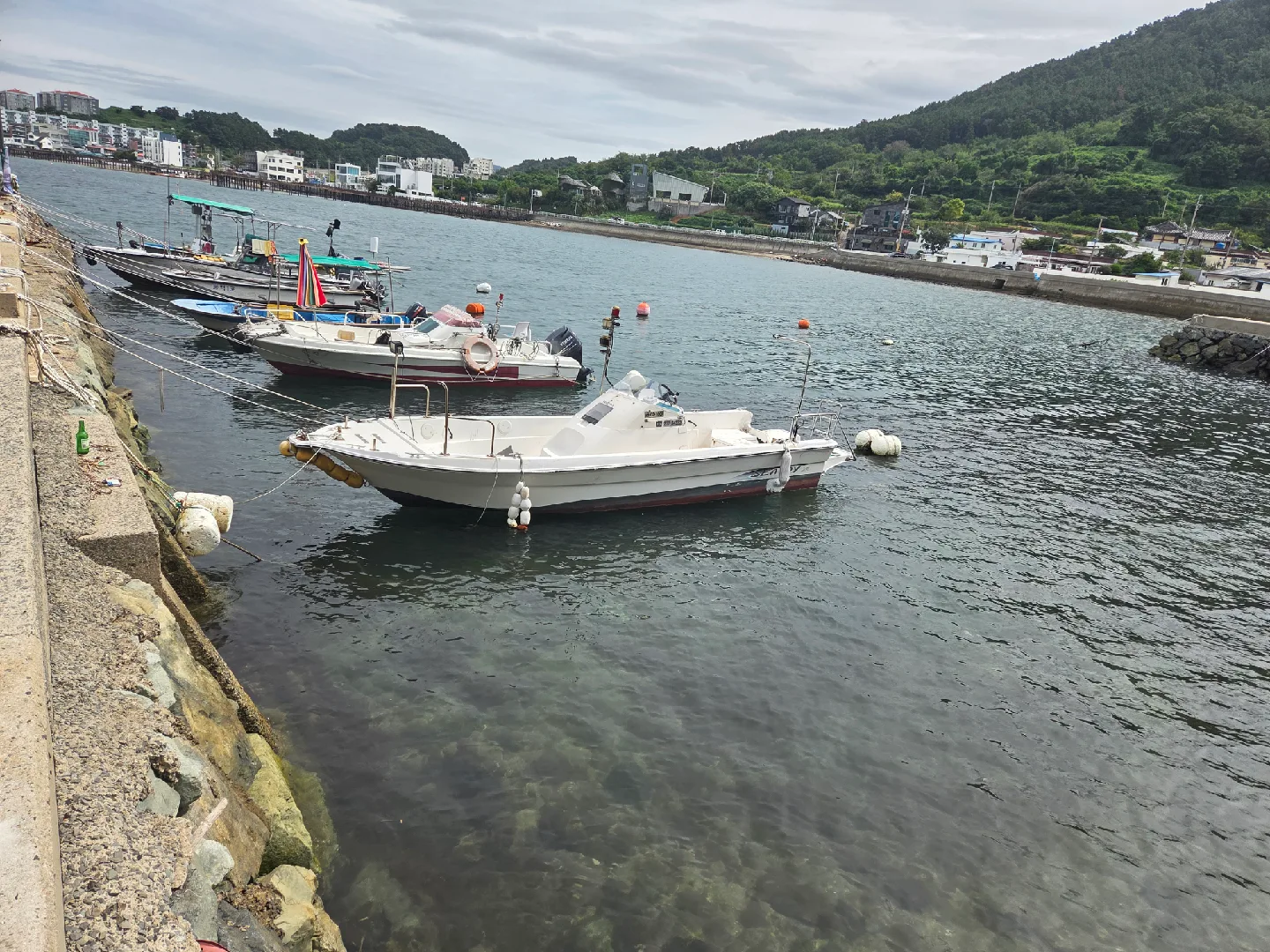 중고 보트 판매 몰드만, 등록증 검사필증 있음