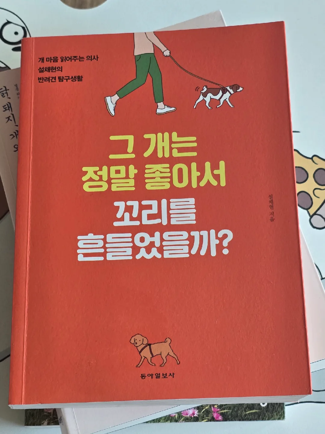 <중고책> 그 개는 정말 좋아서 꼬리를 흔들었을까? - 개 마음 읽어주는 수의사 설채현의 반려견 탐구생활