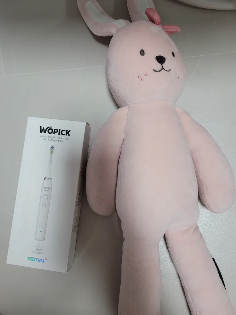 오스템 Wopick 음파칫솔 새상품(50%할인)