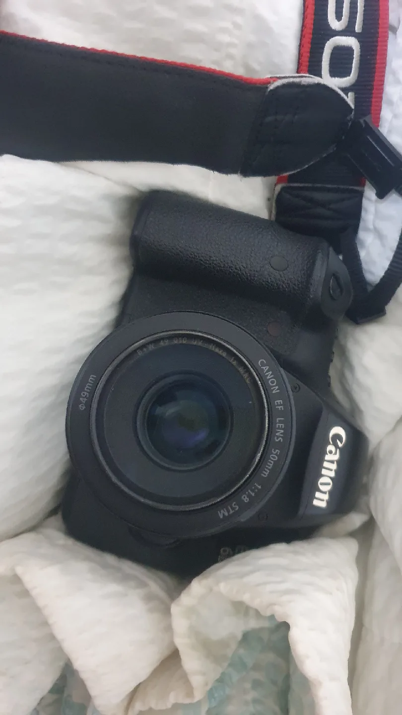 캐논 R8 바디 중고 삽니다~~