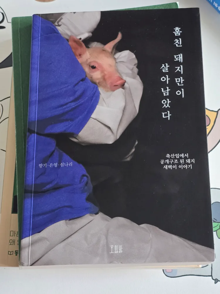 <중고책> 훔친 돼지만이 살아남았다 - 축산업에서 공개구조 된 돼지 새벽이 이야기