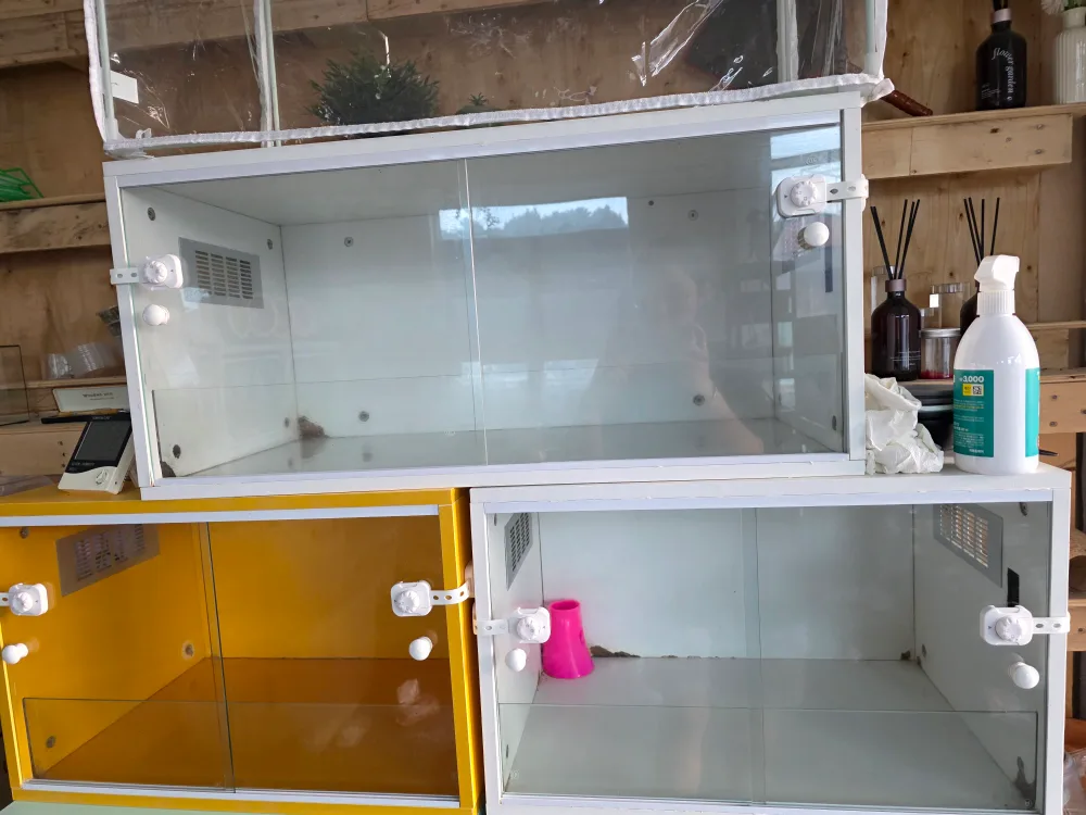 중고 유리 햄스터 케이지