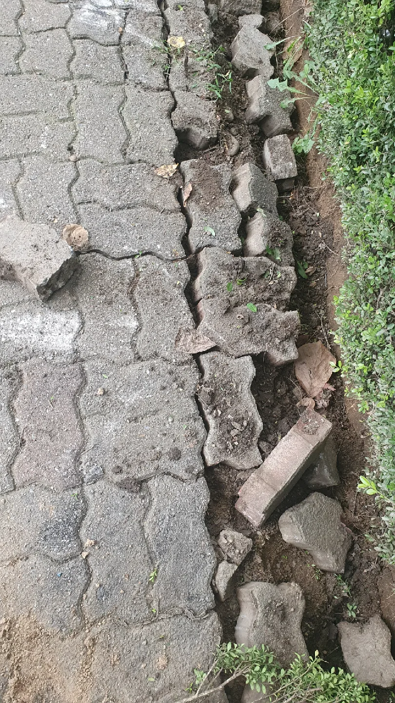 중고 보도블럭 무료나눔