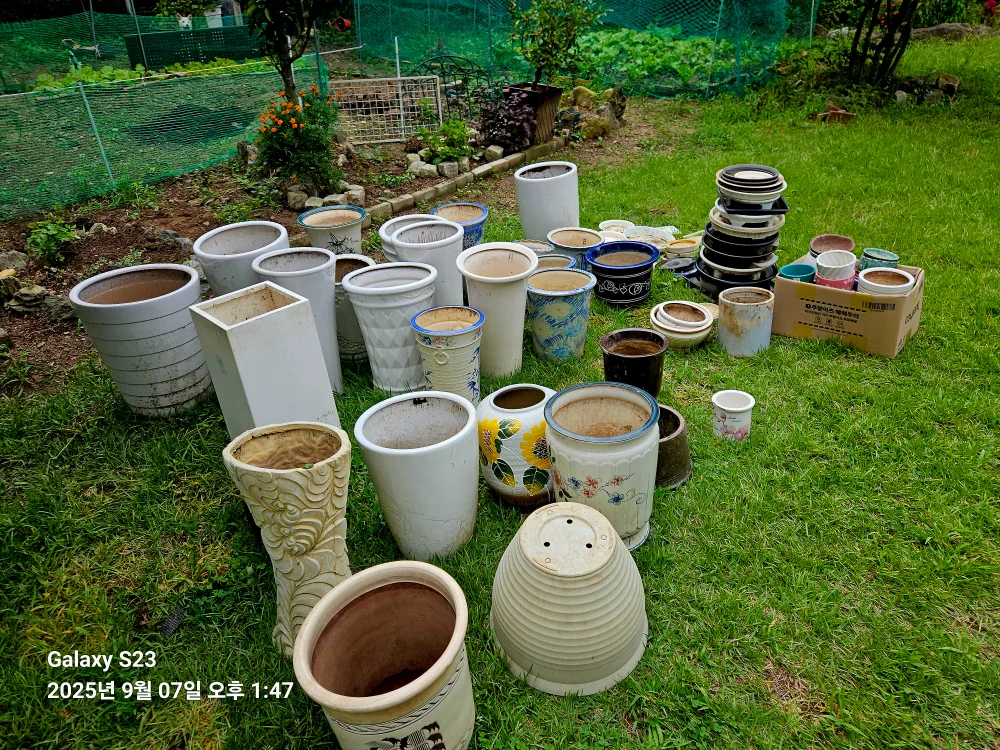 다양한 종류 화분 모음(중고)
