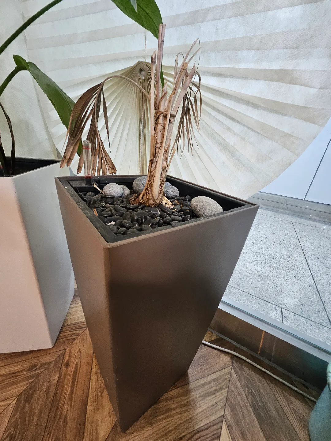 9월28일까지 거래/ 식물 화분(물 넣어 놓으면 자동으로 주는 화분(