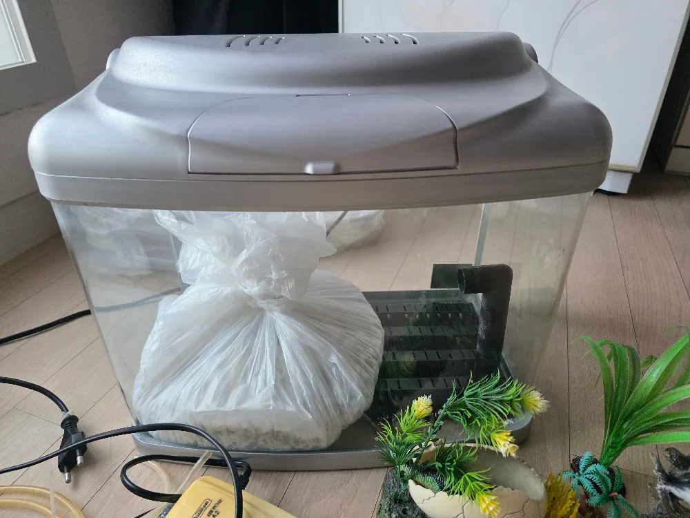 중고 사각 어항 세트 무료나눔