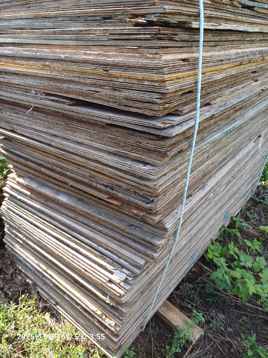 낡은 합판 판매