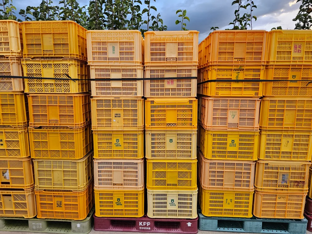 과일상자 중고 콘티 팝니다