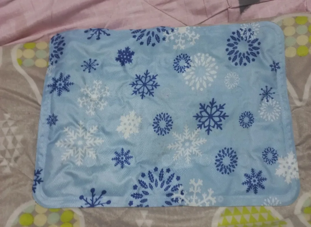 반려동물 쉬원한자리(중고)