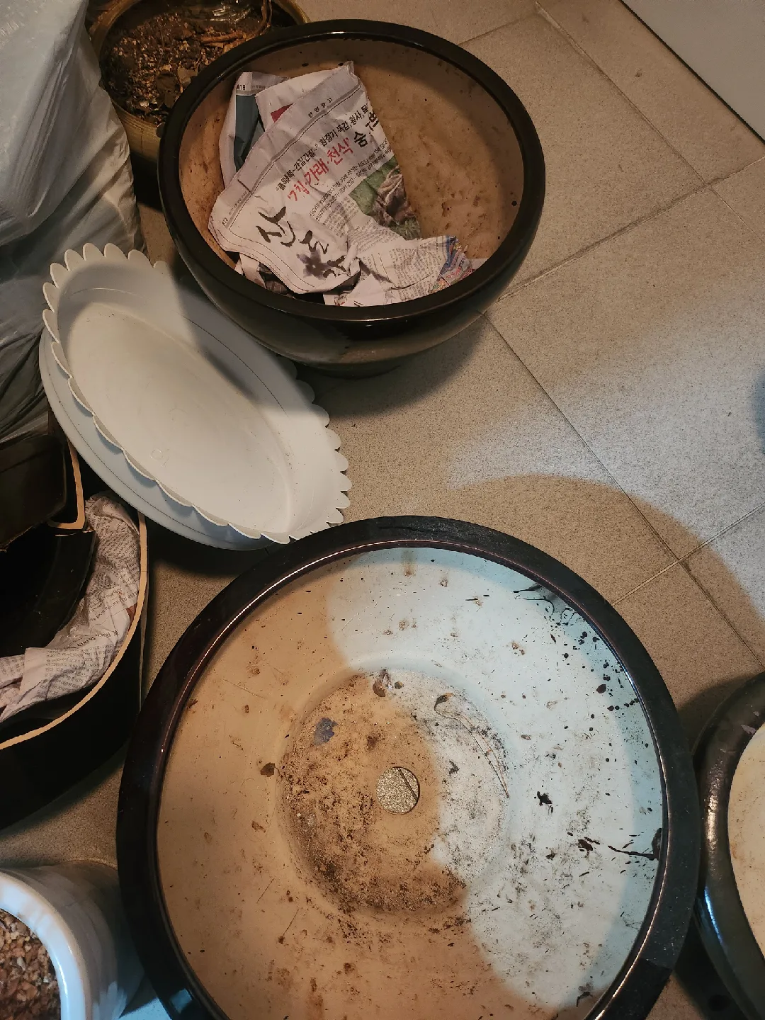 중고 화분 모음