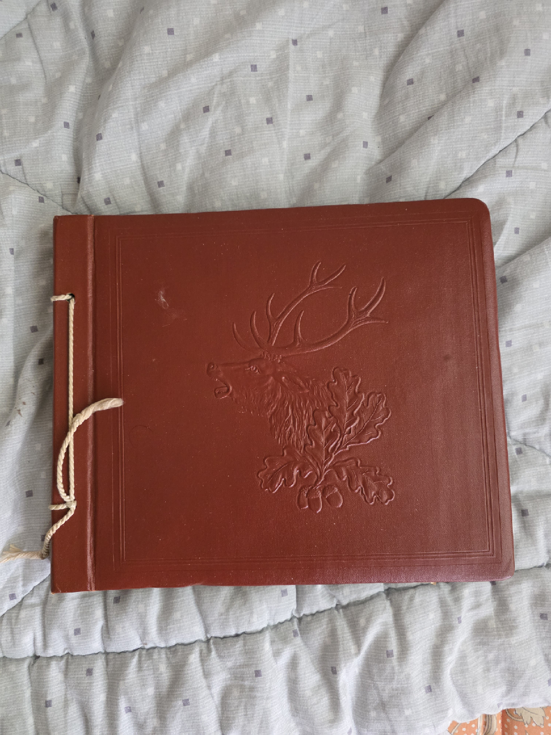 Our new track “SEMI-FINAL” is out now🔥🤘🪰 Check it out below😘, image size:1080x1440