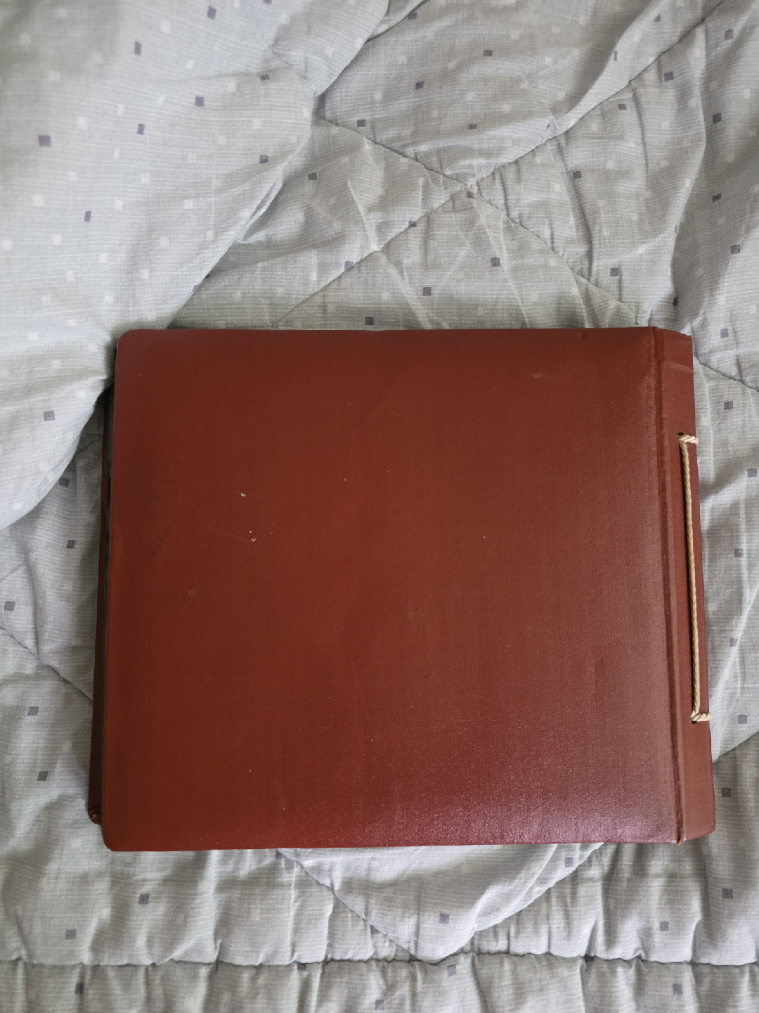 14~나무 무료 이미지・디자인・샘플・템플릿 - Canva(캔바) 페이지, image size:1080x1440