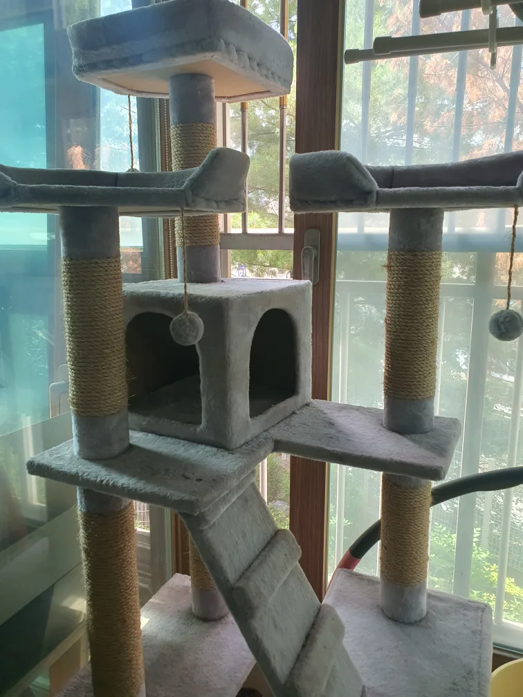 중고 캣타워