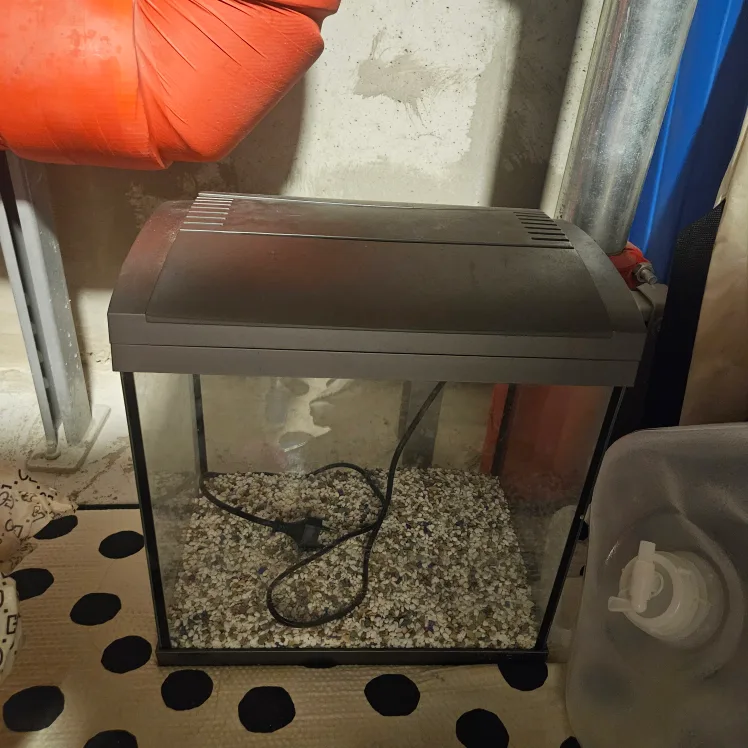 중고 어항 세트