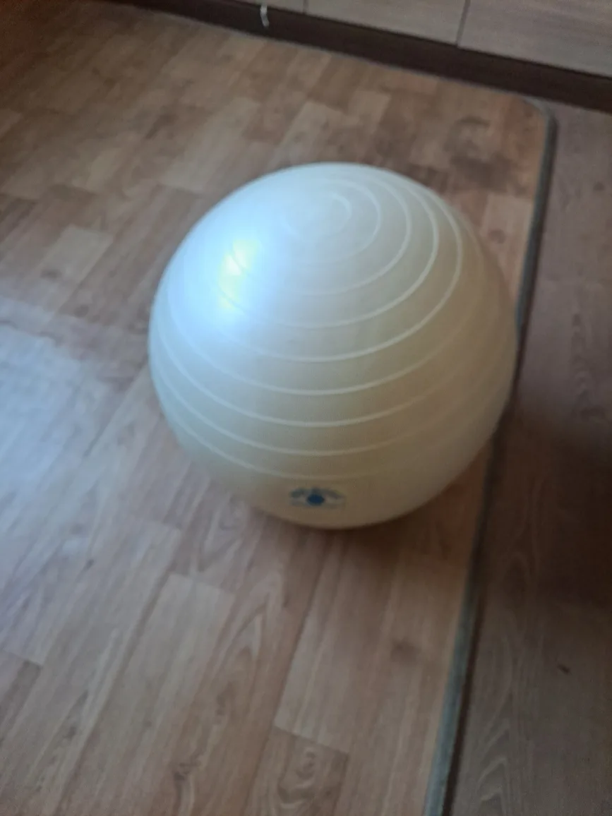 아이보리색 짐볼