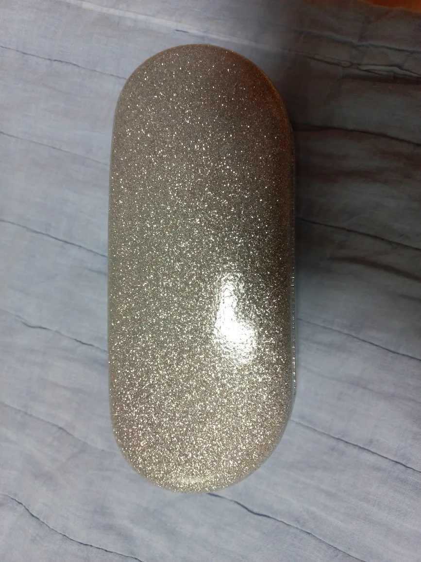 은색 선글라스 케이스