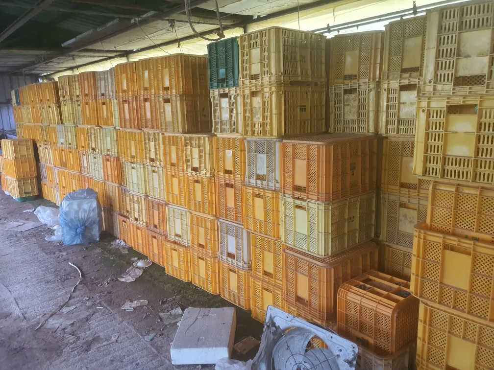 중고 플라스틱 박스 대량