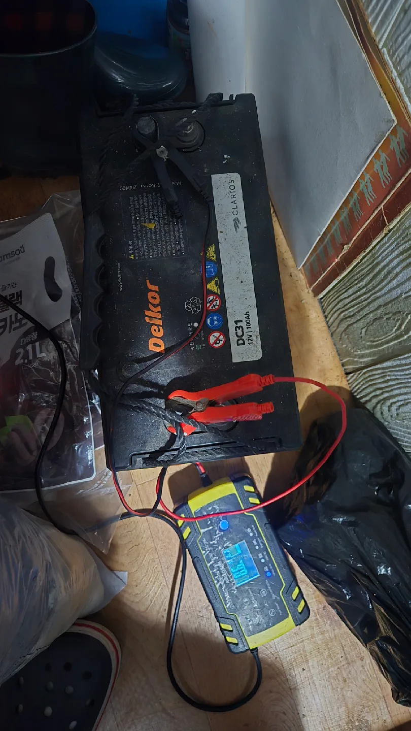 델코 DC31 딥사이클 배터리 중고팝니다