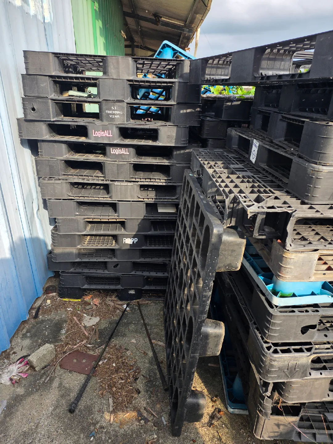 플라스틱 팔레트 중고팝니다