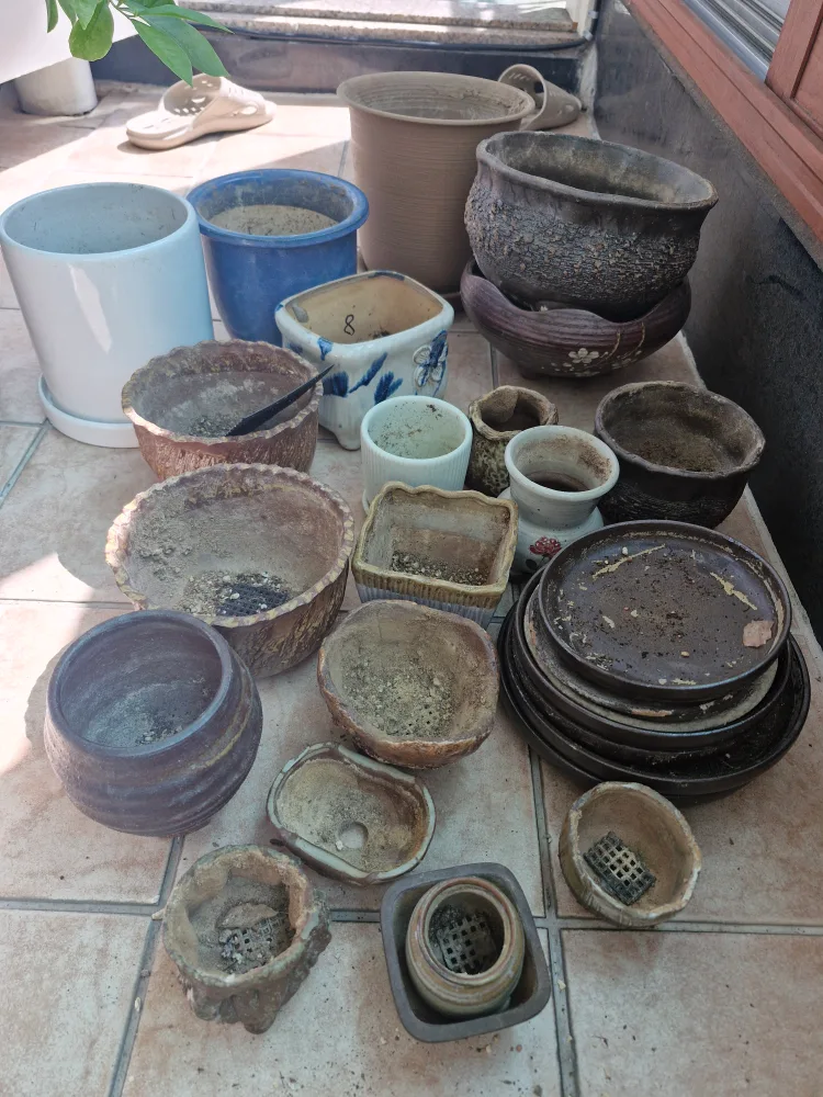 다양한 종류의 중고 화분 모음