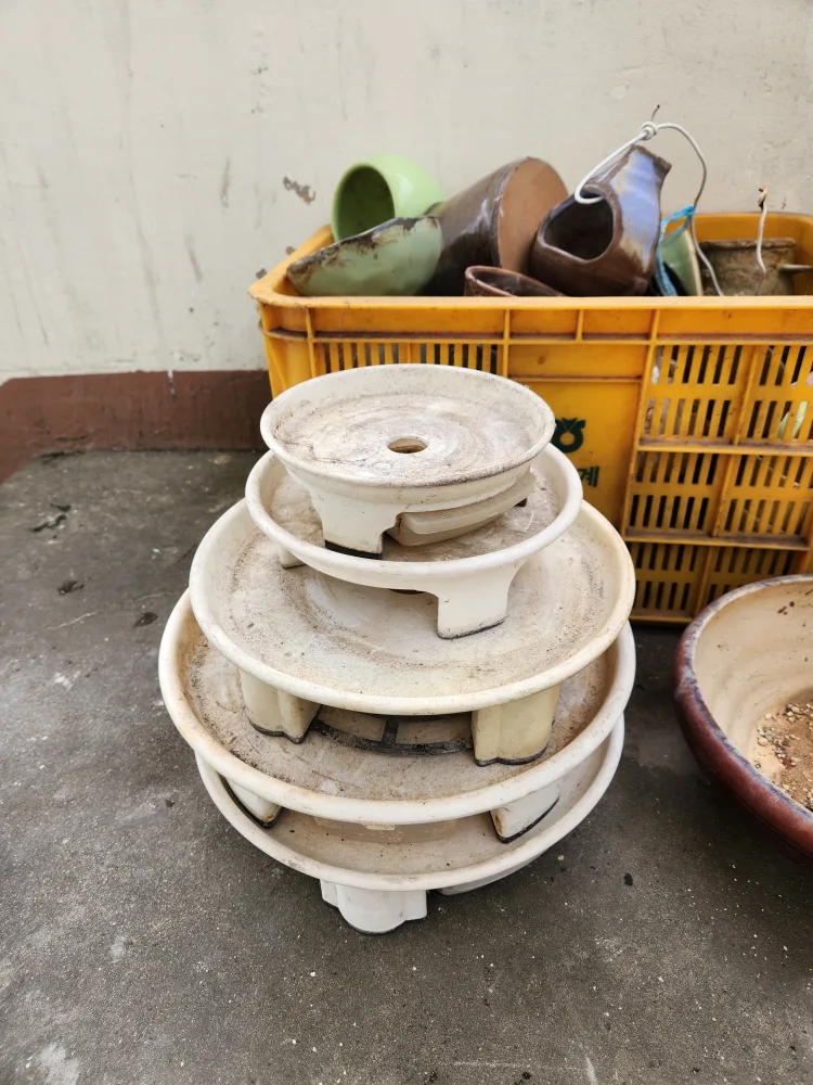 다양한 종류 중고 화분 모음