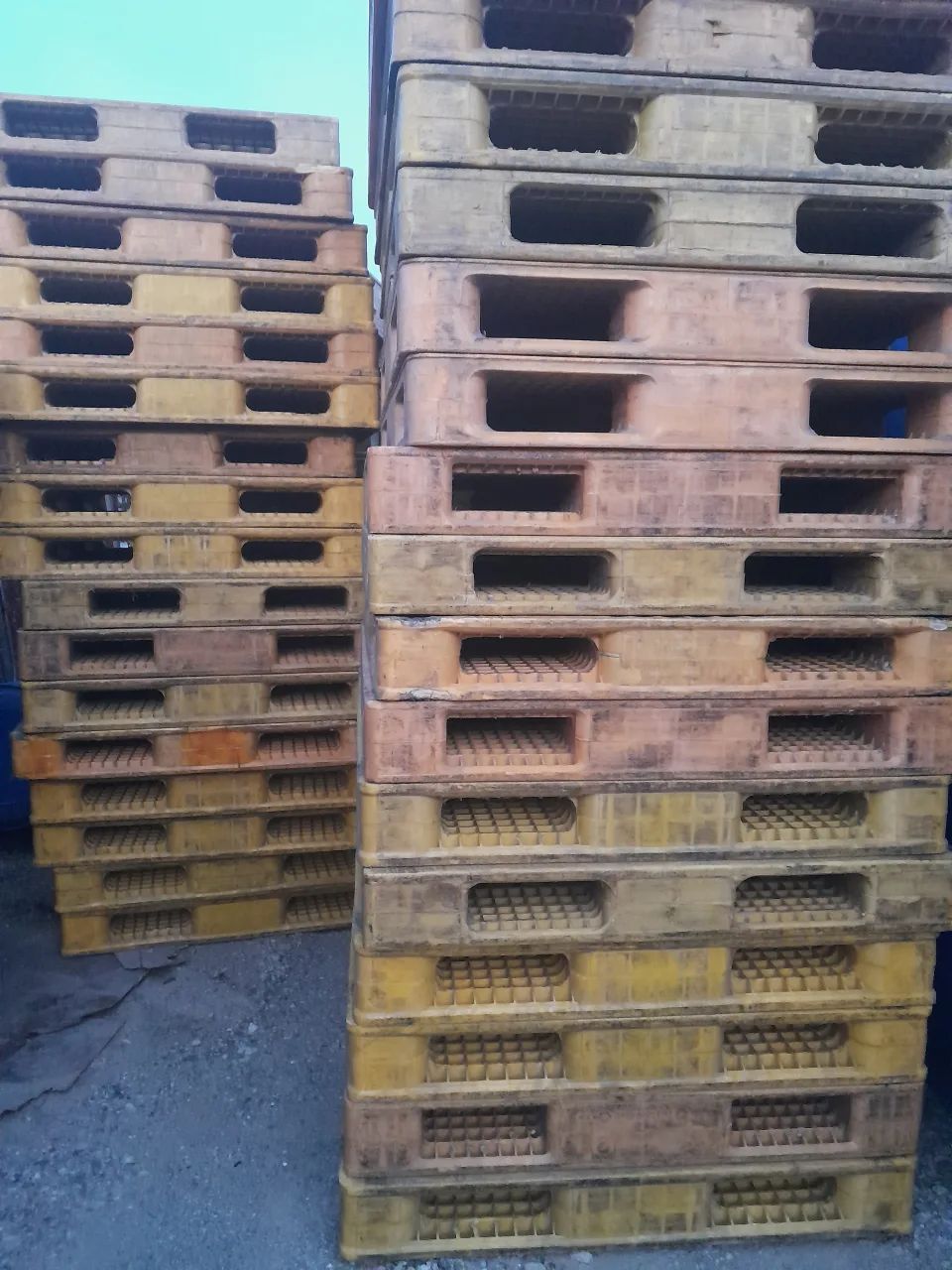 중고 파레트 판매